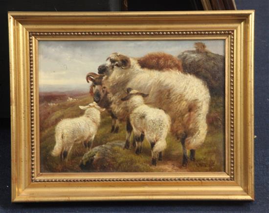 Robert Watson (fl.1877-1920) Highland cattle and sheep in landscapes 9.5 x 13.5in.